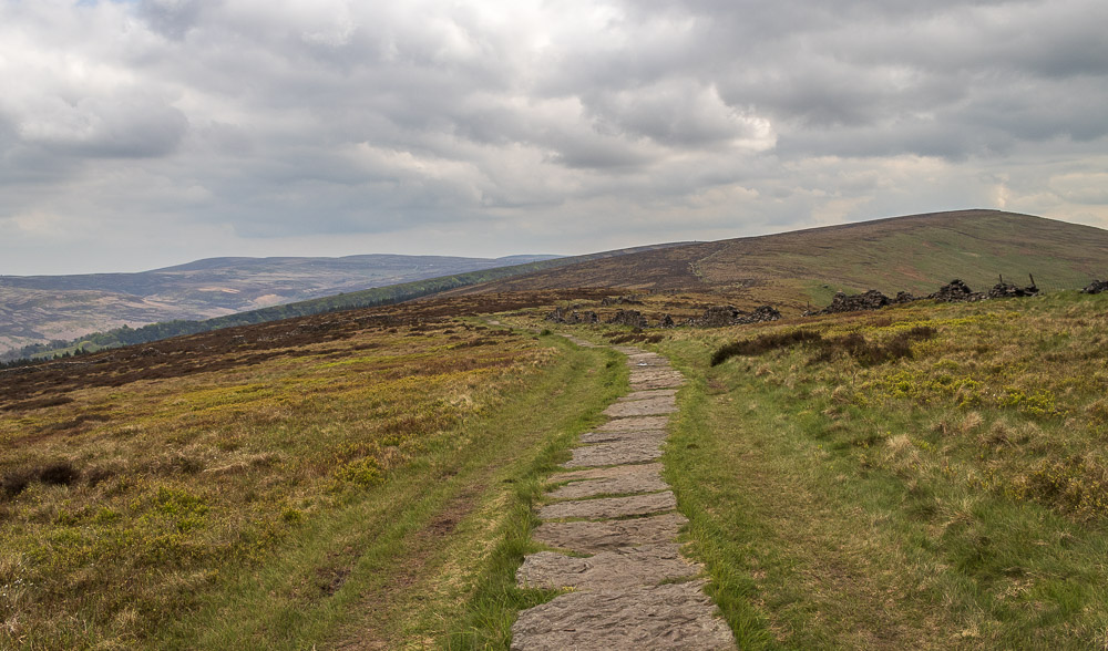 Shining Tor